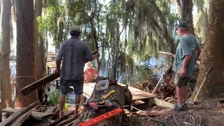 The Yule Log and the Hair