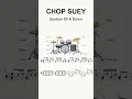 Chop Suey on drums