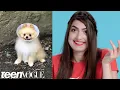Rachel Levin Breaks Down Her Favorite Instagram Accounts Teen Vogue