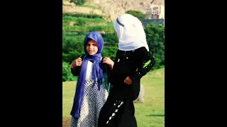 اليمن اكسبلور Bee صعدة 