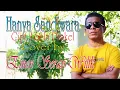 Download Lagu HANYA SANDIWARA Cover by Emen Seran Wilik
