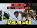Lagu Perdana SOAR burung elang laut WBSE di bukit merese kuta lombok