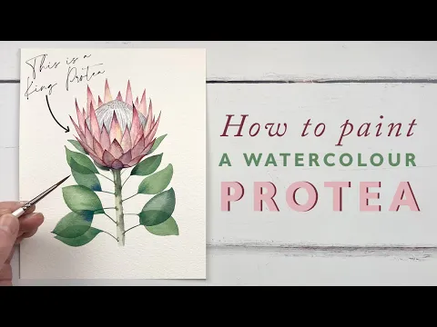 Download MP3 How To Paint A Watercolour Protea