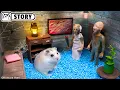 Download Lagu 🐹 Hamster Escapes the Granny Maze with Grandpa 🐹 Homura Ham