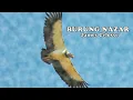 Download Lagu James Celosse - Burung Nazar (lirik)