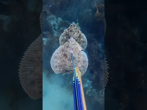 Two for one!