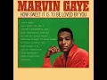 Marvin Gaye You're A Wonderful One