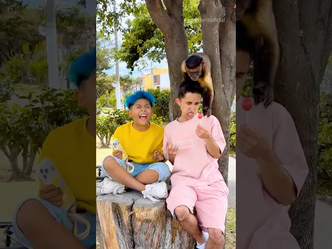 EL MONO ES MÁS PILO QUE PIPE #santioficial #funny #shortvideo