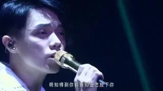 張敬軒 Hins Cheung 遙吻 Hins Live In Passion 2014 