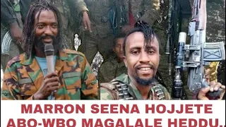 Ajajaa Waligala ABO WBO Jaal Marroo Dirribaa Seenaa Hoojjetee Ibsa Haala Yeroo Irratti Kennan Kuno 