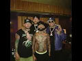 BAD BUNNY - ACHO PR (Bunny Version)