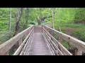 Macbeth's Birnam Oak in the Birnam Woods of Scotland ~ Narrated