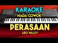 PERASAAN - LEO WALDY ( KARAOKE DANGDUT NADA COWOK )
