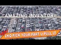 LKQ PICK YOUR PART U PULL IT JUNKYARD INVENTORY OF JUNK CARS