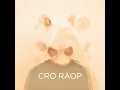 Einmal um die Welt - CRO