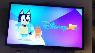 Disney Jr UK Continuity Thursday 13th November 2025 