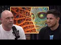 These DMT Experiences Completely Shattered Reality Joe Rogan