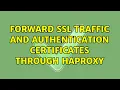 Forward SSL traffic and authentication certificates through HAProxy 2 Solutions