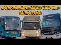 Download Lagu Mantap‼️ Agen Sinar Jaya Dan Kupu Kupu Ayu Paling Ramai Penumpang Hari Ini ‼️