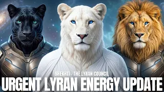 HUGE The 2026 Lionsgate Portal Is Key Shekhti - The Lyran Collective