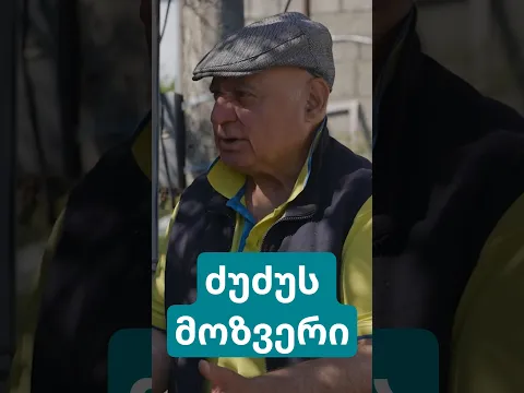 ძუძუს მოზვერი 🐮