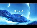 Download Lagu أغنية ЛУНА (قمرى) Gafur الروسية