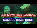 Download Lagu GAMBUS BUGIS BONE SAHARA KUMPULAN LAGU GAMBUS NON-STOP FIRAH MUSIK GAMBUS