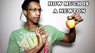 HOW MUCH FORCE IS 1 NEWTON GREAT EXAMPLE MAGIC