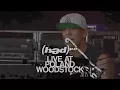 (hed) p.e. Live at Poland Woodstock [July 31, 2015]
