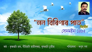  nal birinar pat assamese bihu song directed by rubul bora 