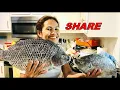 Food Town Grocery Vlog001