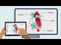DisplayNote Montage wireless presentation software made for the classroom