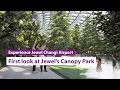 First Look: Jewel Changi Airport's Canopy Park