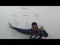 Branch Accounts Introduction Accounts Format under Debtors System For B CMA