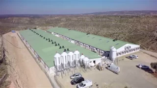 Exafan - Granja Fayon