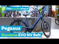 Download Lagu Pegasus Ravenna EVO NV Belt - Onderschat deze Luxe E-bike niet!