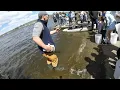 MASSWILDLIFE TROUT STOCKING