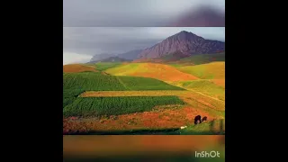 جمشید پروانی فیض آباد 