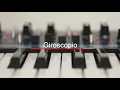 La Gusana Ciega - Giroscopio
