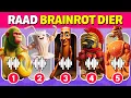Download Lagu Raad ITALIAANSE Brainrot Memes | Ballerina Cappuccina🩰, Udin Din Dun🍊 | Gouden Quiz