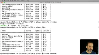 The WordPress Command Line Interface