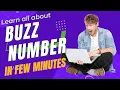 ICSE CLASS 9 BUZZ NUMBER GCD MENU-DRIVEN PROGRAM