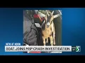Goat jumps into MSP cruiser tries to help troopers track fleeing motorcycle driver