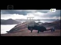 Download Lagu Iklan Asian Games 18th Jakarta Palembang - Energi of Asia 30s (2017)