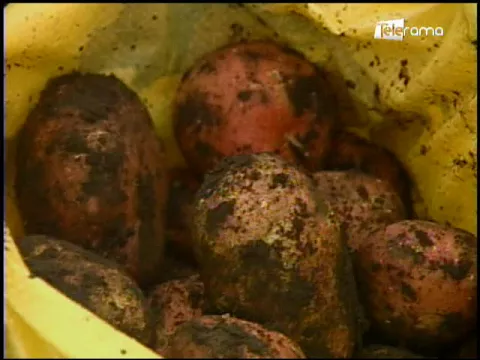 Ecuador Agropecuario 27-03-2018