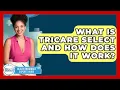 What Is TRICARE Select And How Does It Work - Health Insurance Experts Guide