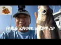 Offshore haddock fishing in Cape Cod - catch clean cook