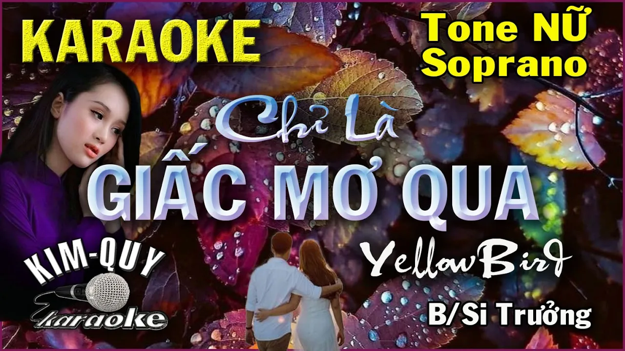 ☘️♥️☘️CHỈ LÀ GIẤC MƠ QUA ☘️♥️☘️