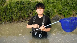 ホモサピを助けて下さい
