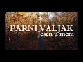 Download Lagu Parni Valjak - Jesen u meni (Official lyric video)